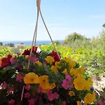 Apartmán Vesna Banjol