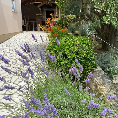 Vesna Appartement